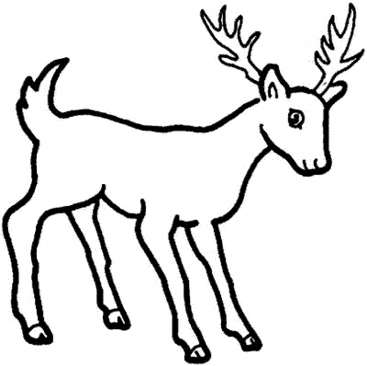 Косуля Сибирская