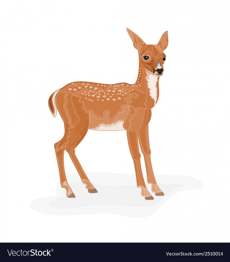 Косуля силуэт