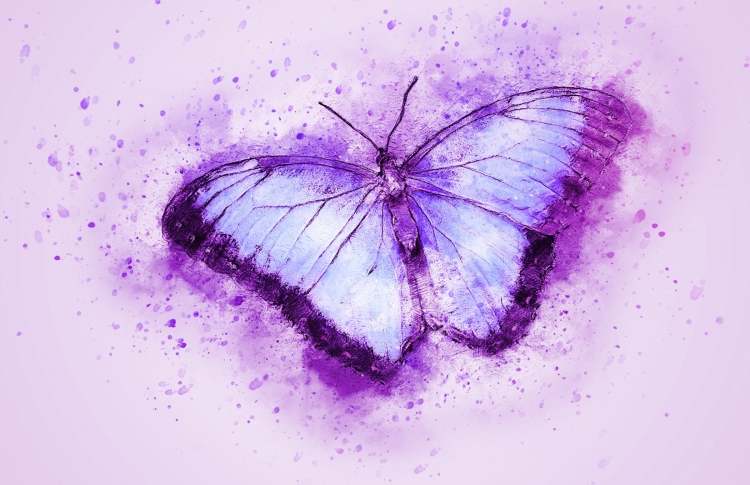 Легкие фиолетовые рисунки