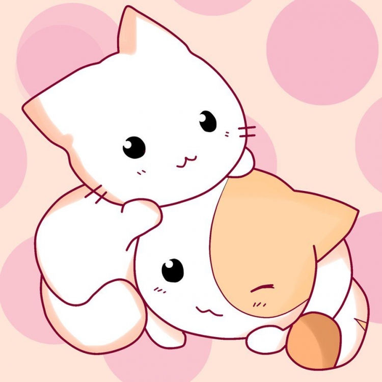 Кавайные котики