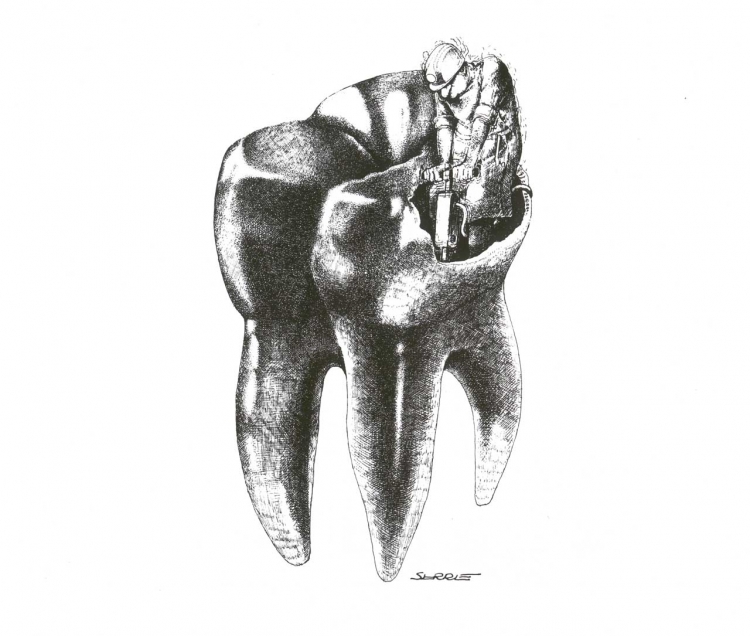 Зуб рисунок карандашом