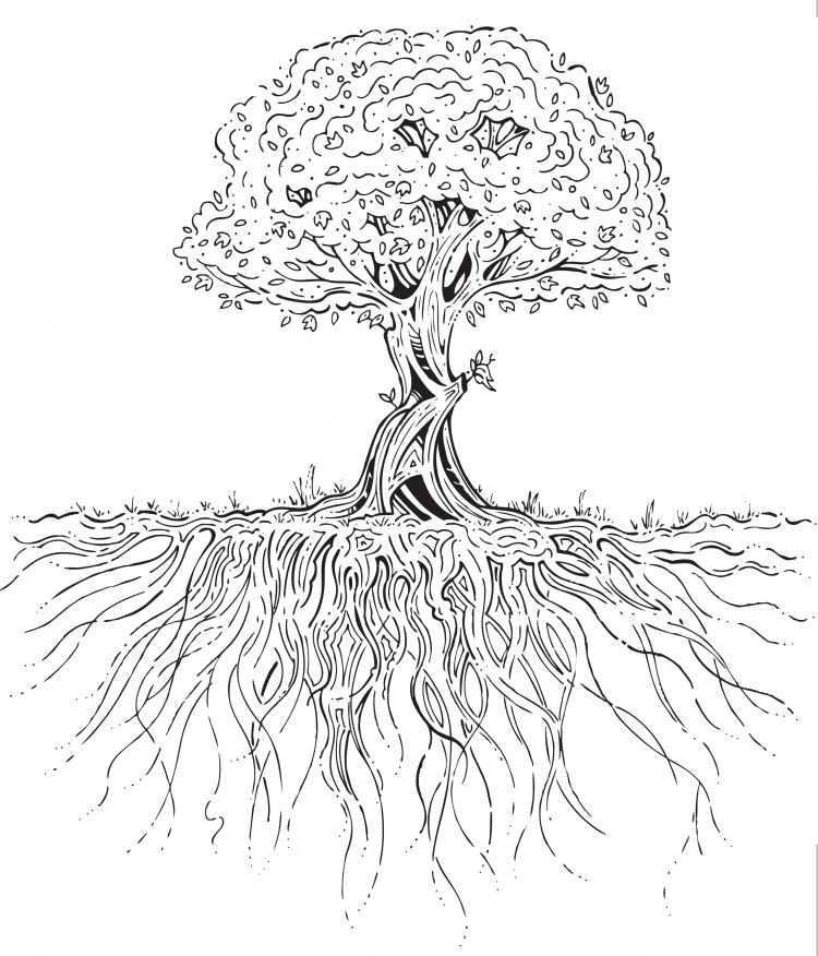 Дерево с корнями рисунок карандашом