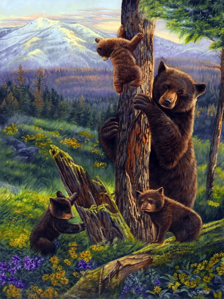 Медведи на дереве картина