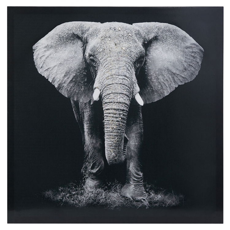 Картина слон хофф