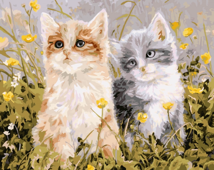 Картины по номерам с котами