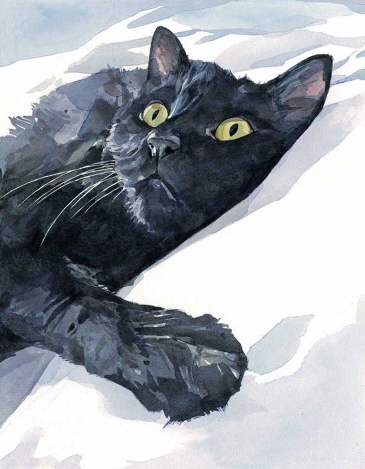 Черный кот акварелью