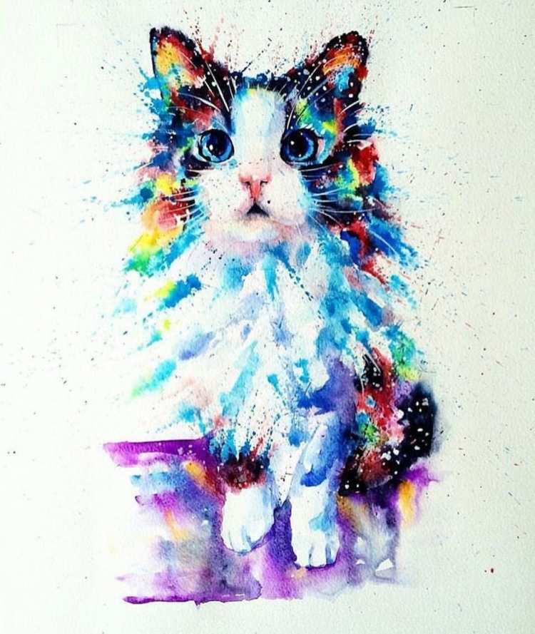 Рисунок кошки акварелью