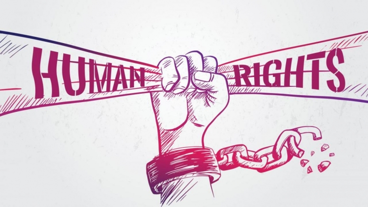 Рисунок всеобщая декларация прав человека