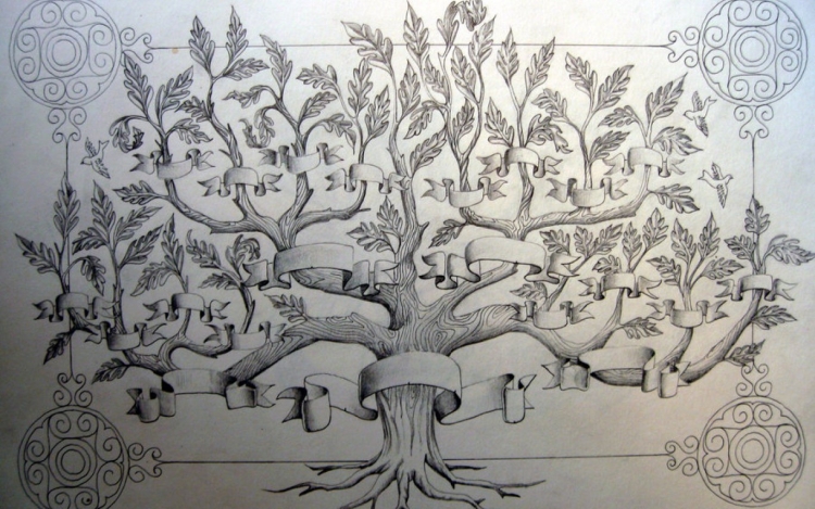 Родословное дерево рисунок