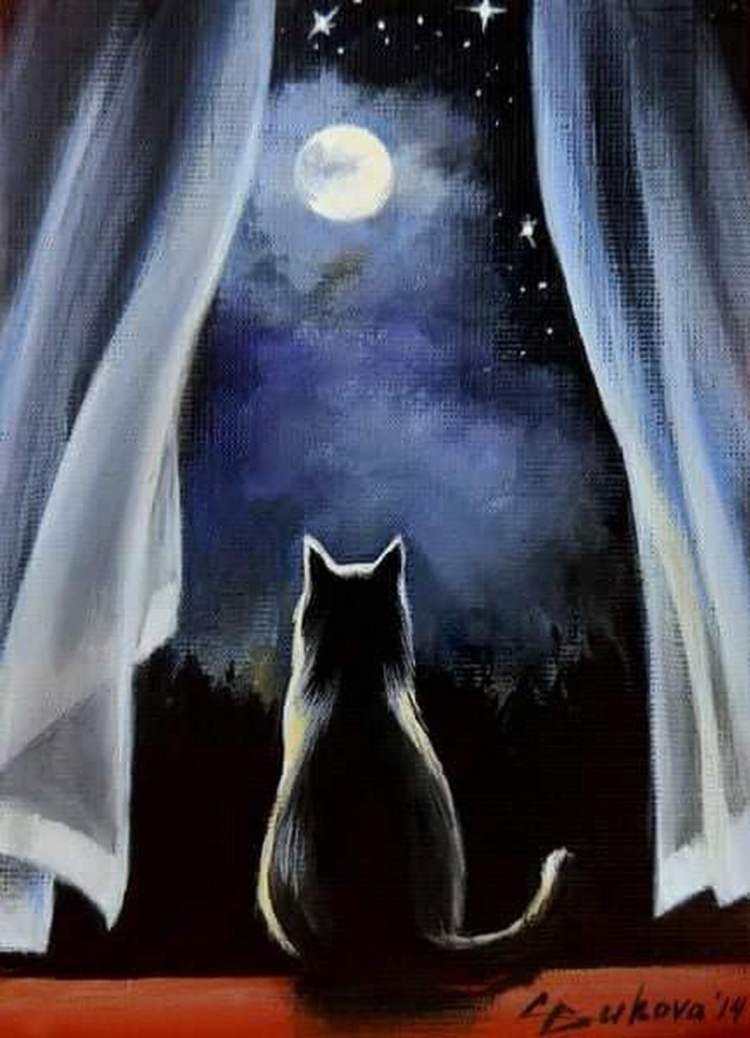 Картина «Кот на Луне», Катя Дудник - Jose Art Gallery