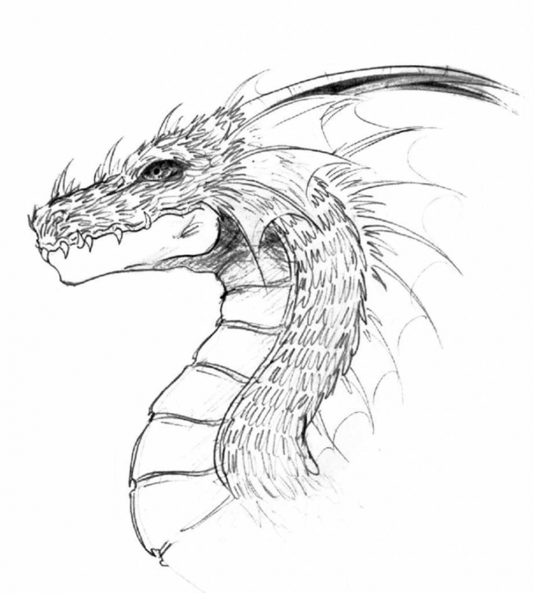 Рисунки драконов