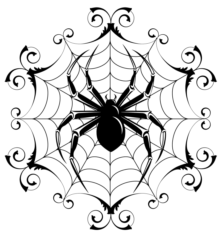 Паутина с пауком рисунок