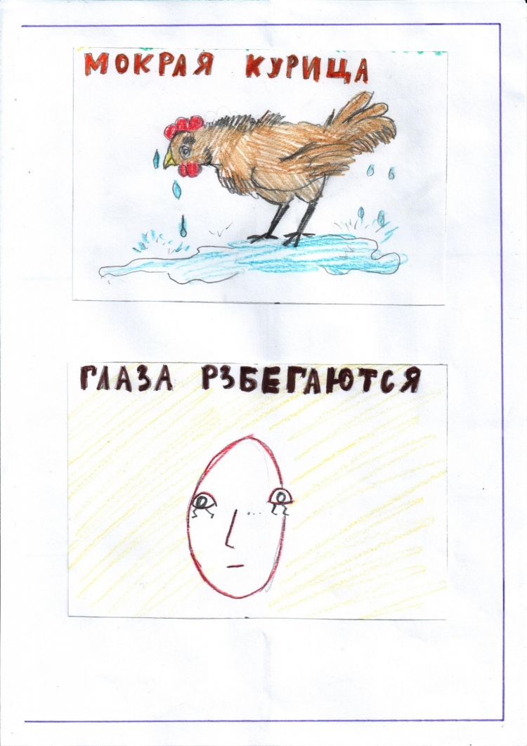 Мокрая курица фразеологизм