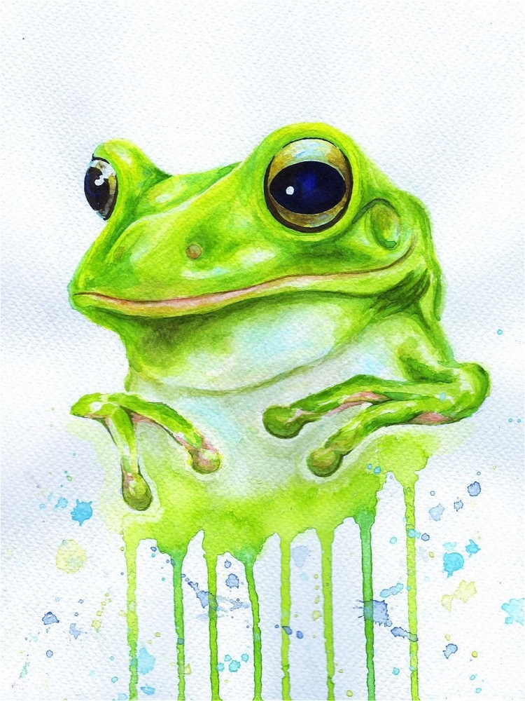 Милые рисунки жабки