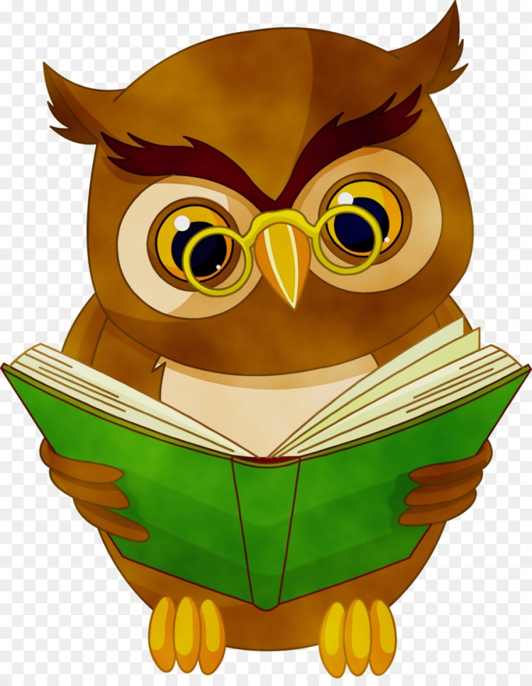 Сова с книгой