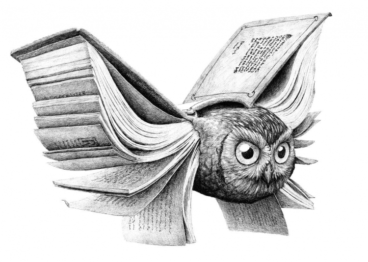 Сова с книгой