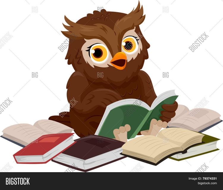 Сова с книгой в руках