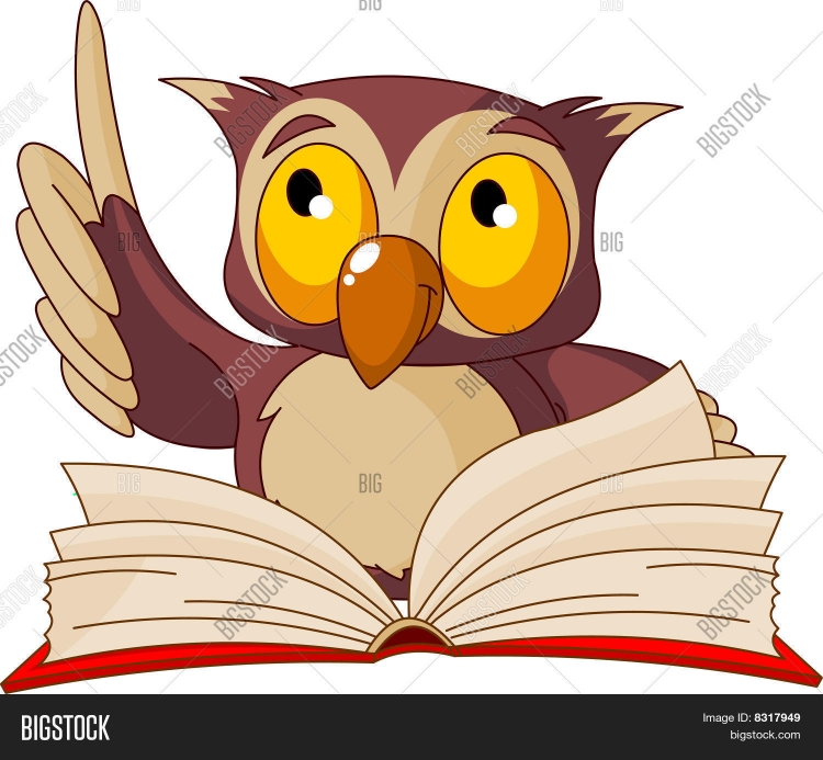 Сова с книгой