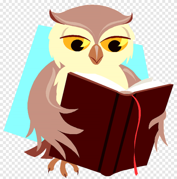 Сова с книгой