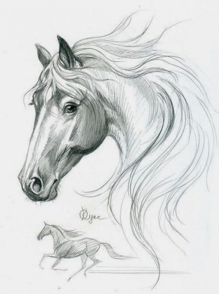 Конь нарисованный