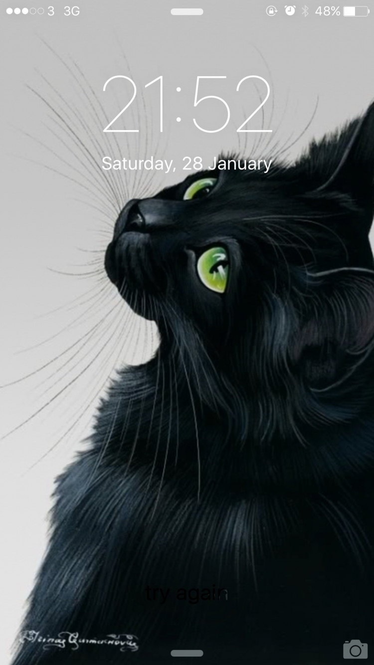 Рисунок черного кота