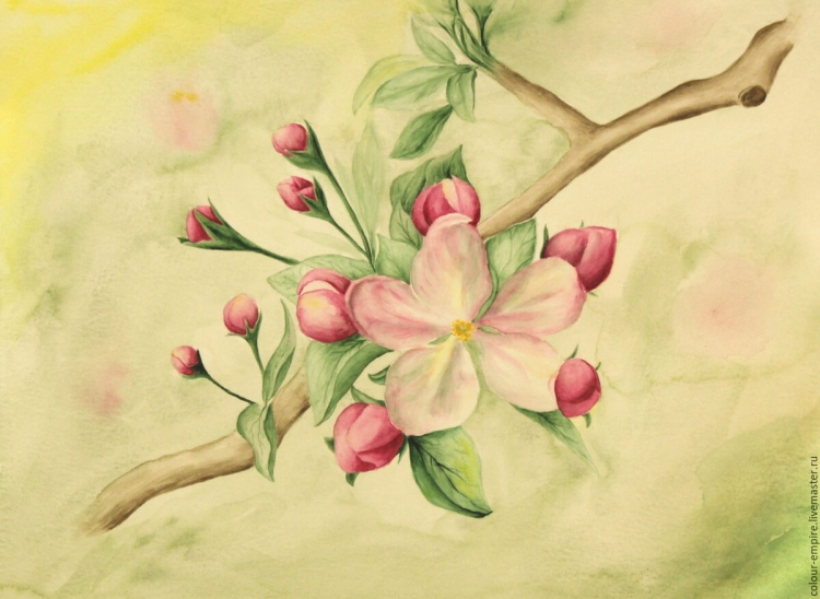 Цветущая яблоня рисунок