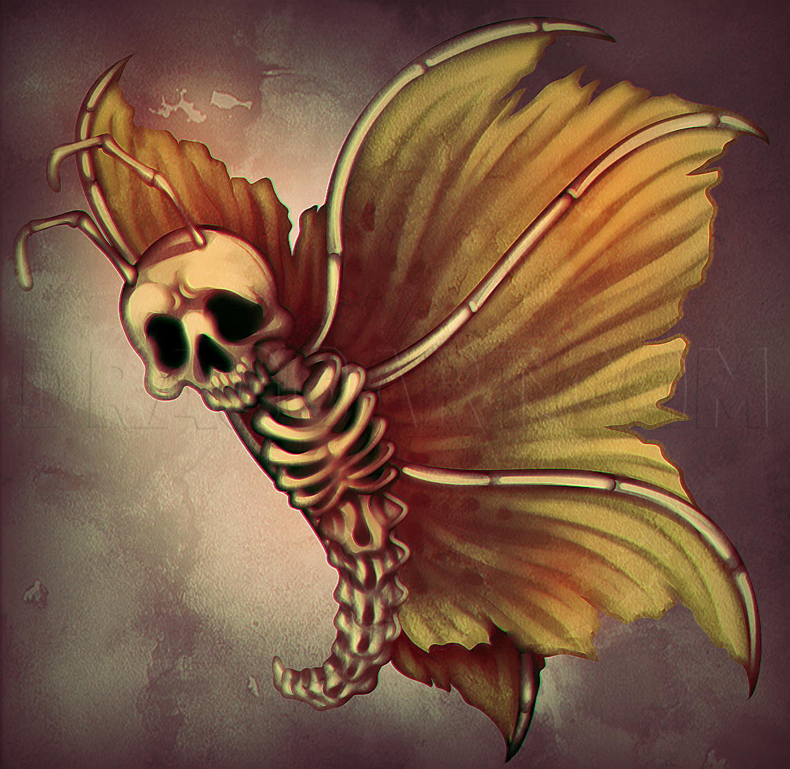 Скелет с крыльями бабочки. Скелет с крылышками бабочки. Скелет с крыльями бабочки рисунок. Скелет бабочки