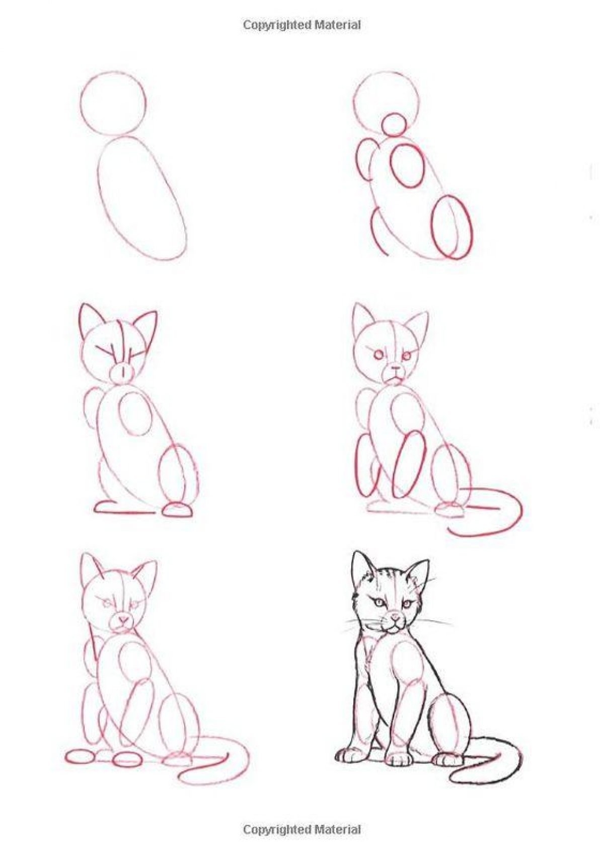 Как красиво рисовать котиков. Поэтапные рисунки. Рисунки по этапно для начинающих. Пошаговые рисунки простым карандашом. Рисование карандашом для начинающих.