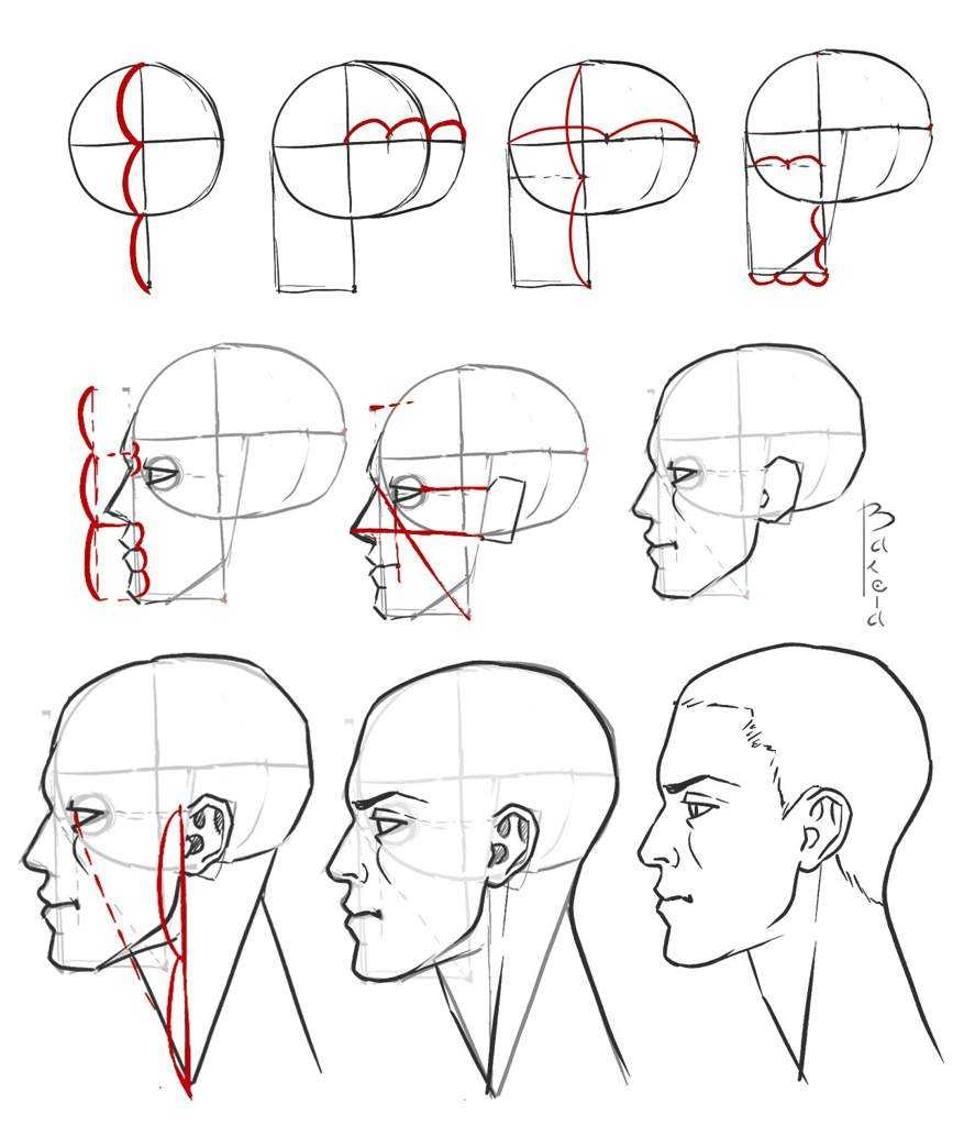 Как нарисовать лицо в профиль в 10 шагов