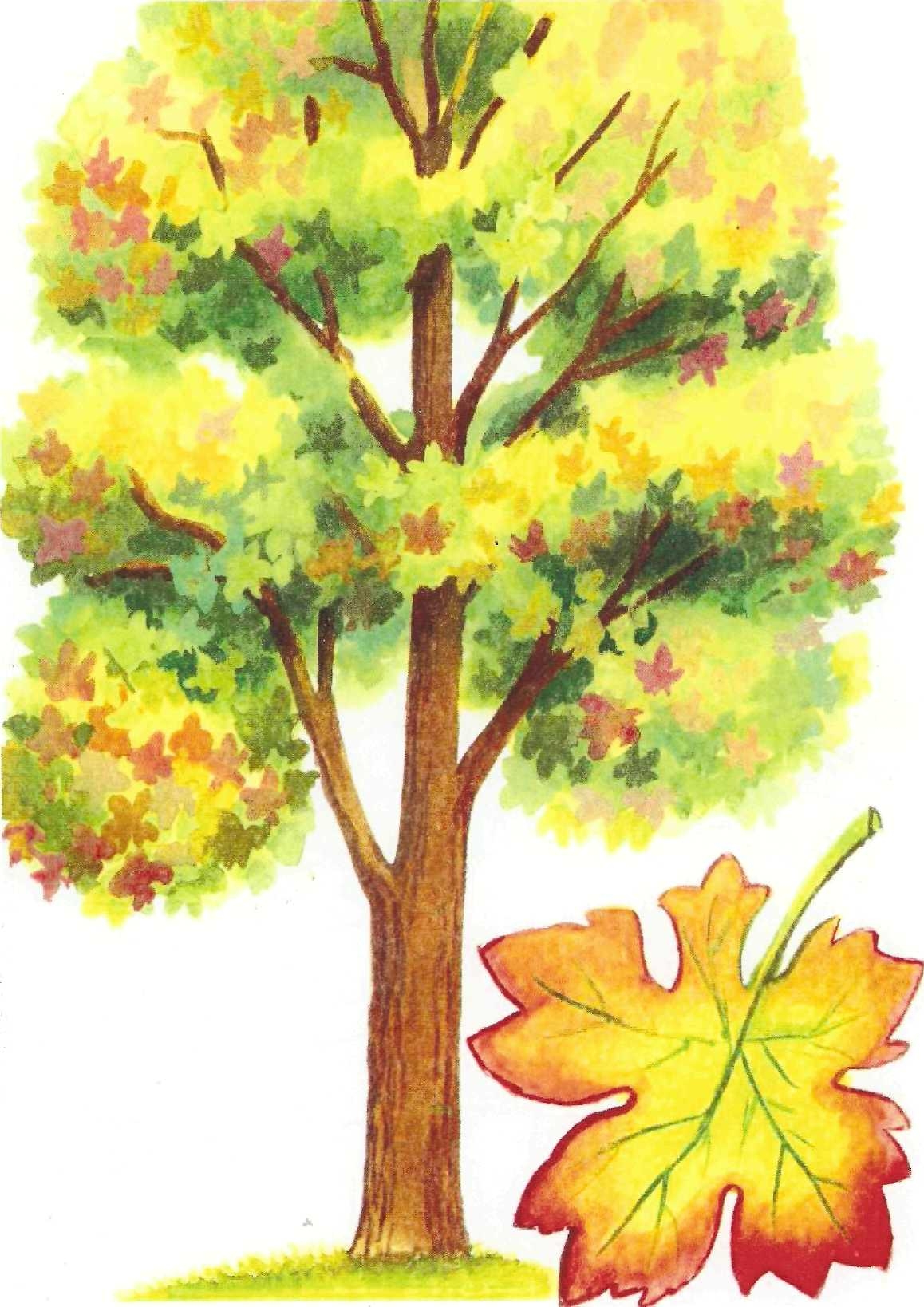 деревья картинки для детей цветные
