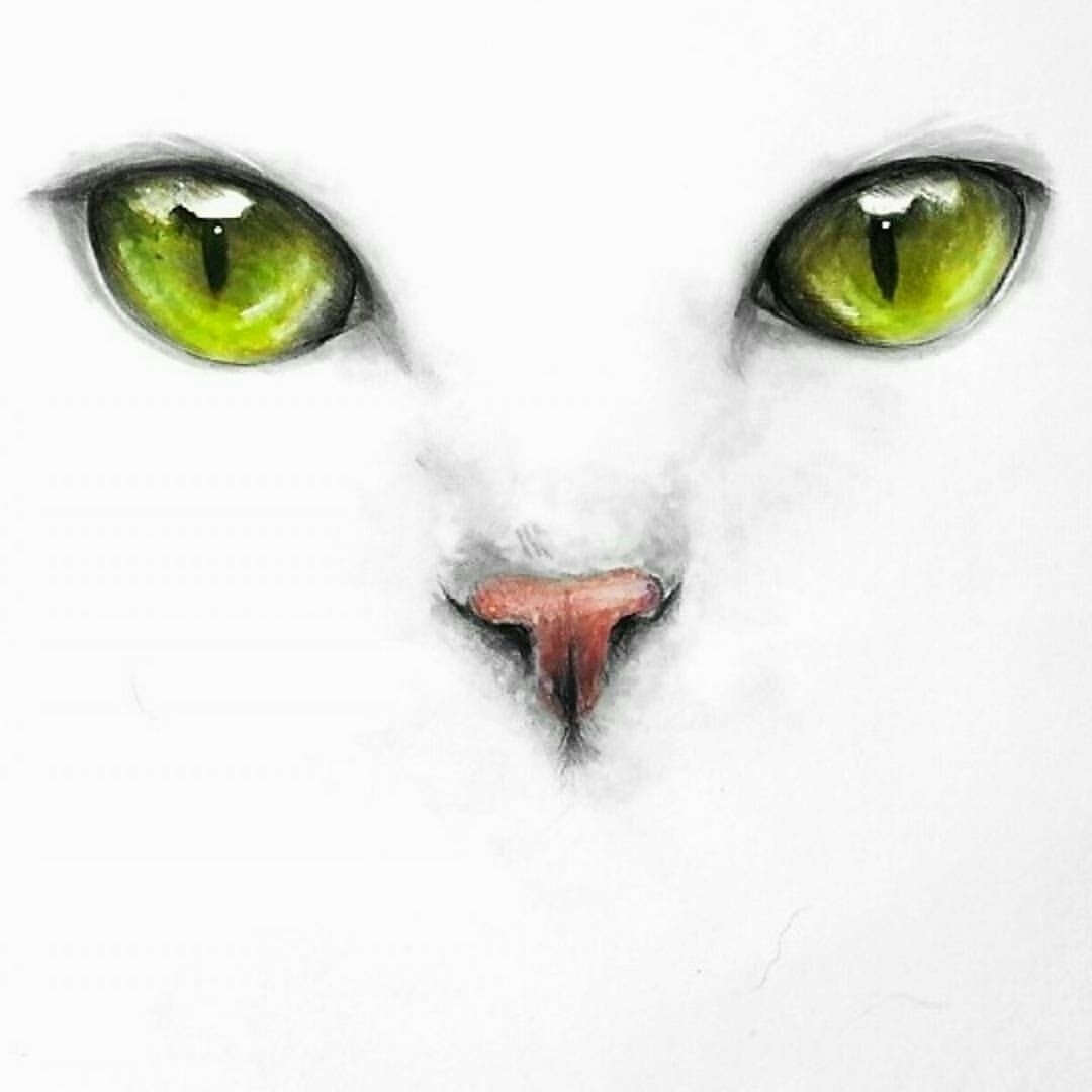 Глаза кота рисунок - 71 фото