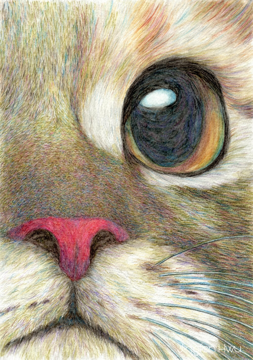 Цветные картинки кошек. Животные рисунки. Глаза животных. Рисунки цветными карандашами. Кошачий глаз.