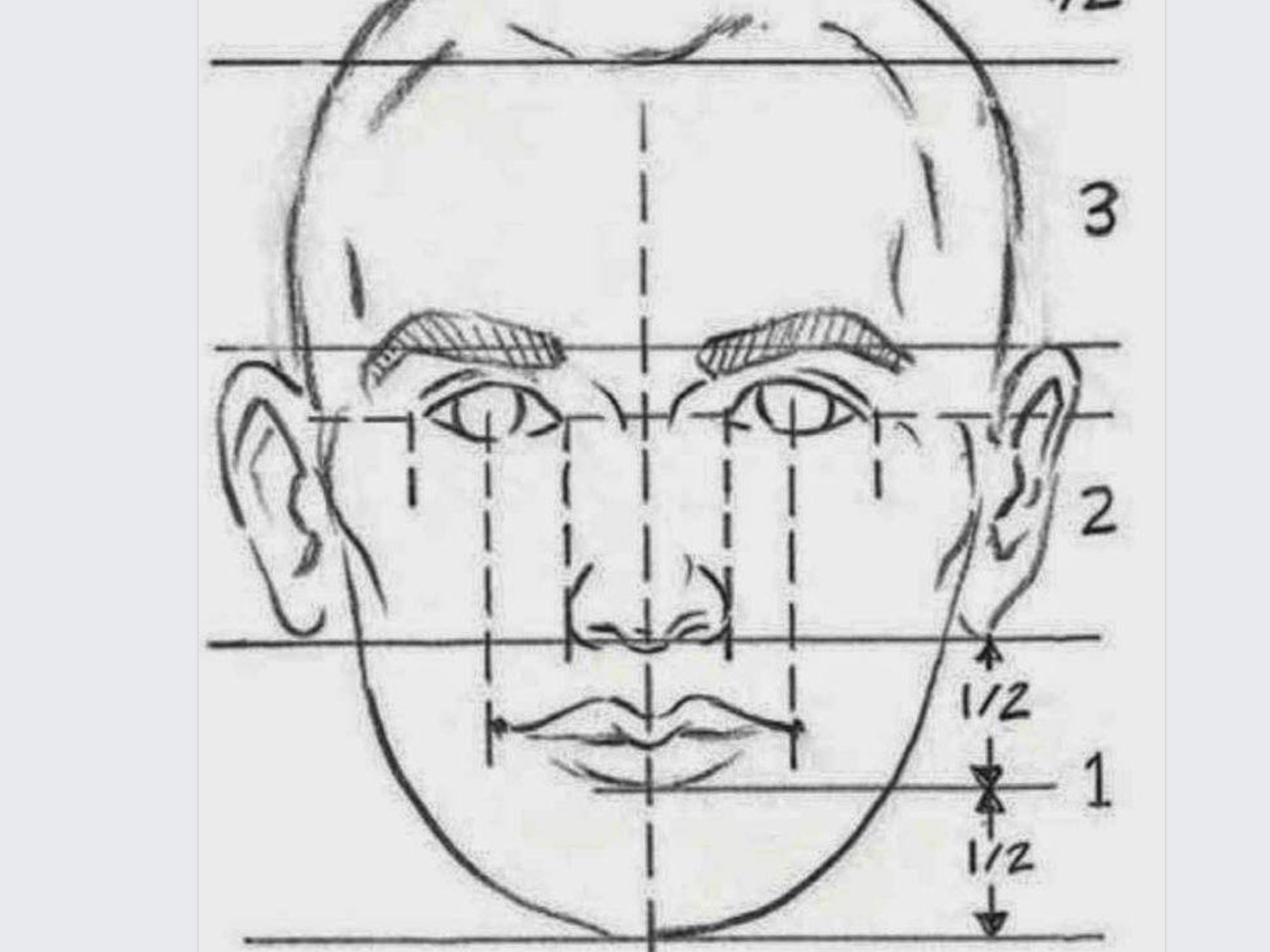 Лицо рисунок схема. Пропорции портрета человека. Пропорции лица для рисования. Схема построения головы человека. Пропорции лица человека для рисования.