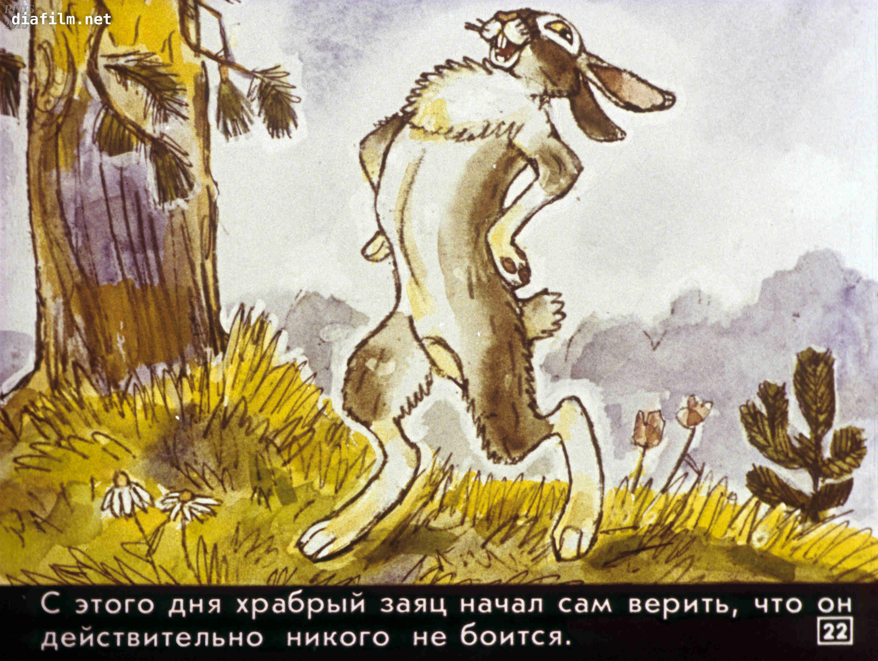 Не веселая история не боящийся. Храбрый заяц мамин Сибиряк. Про храбррго зайамамин Сибиряк. Мамин-Сибиряк заяц-хвастун. Сказка д Мамина Сибиряка про зайца длинные уши.