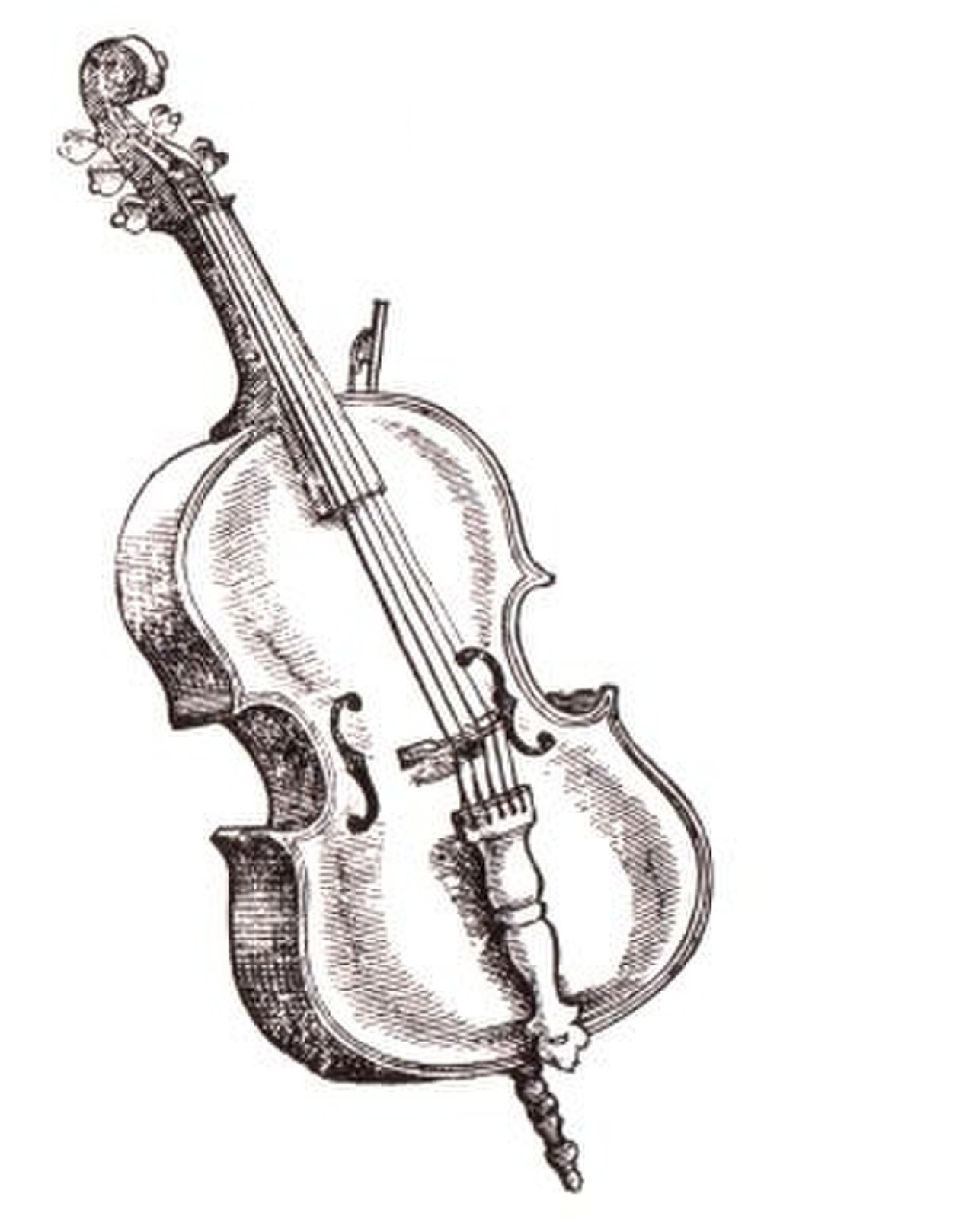 Скрипка — Википедия