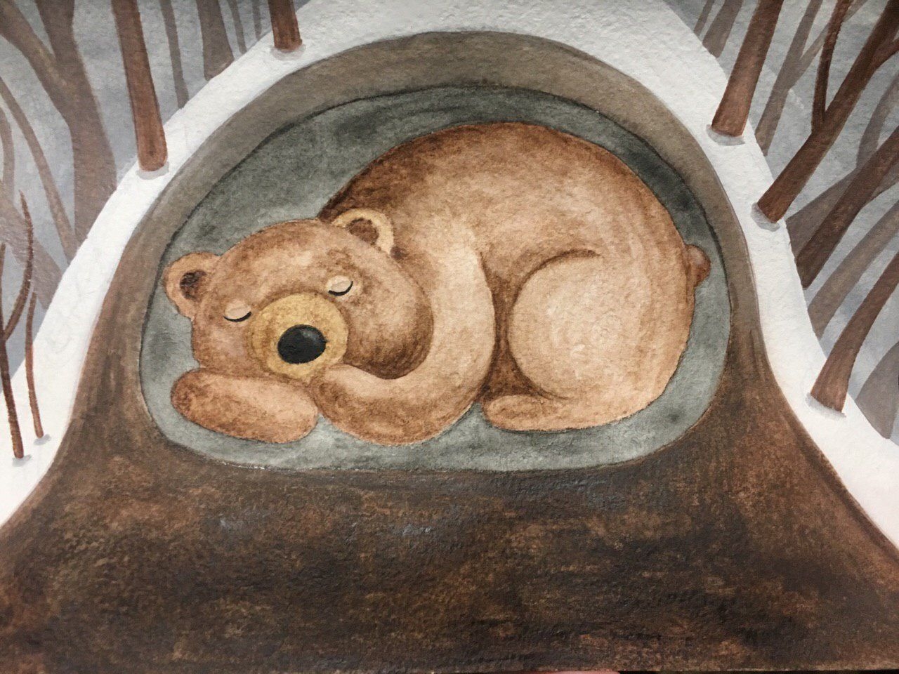 Медведь спит картинка для детей