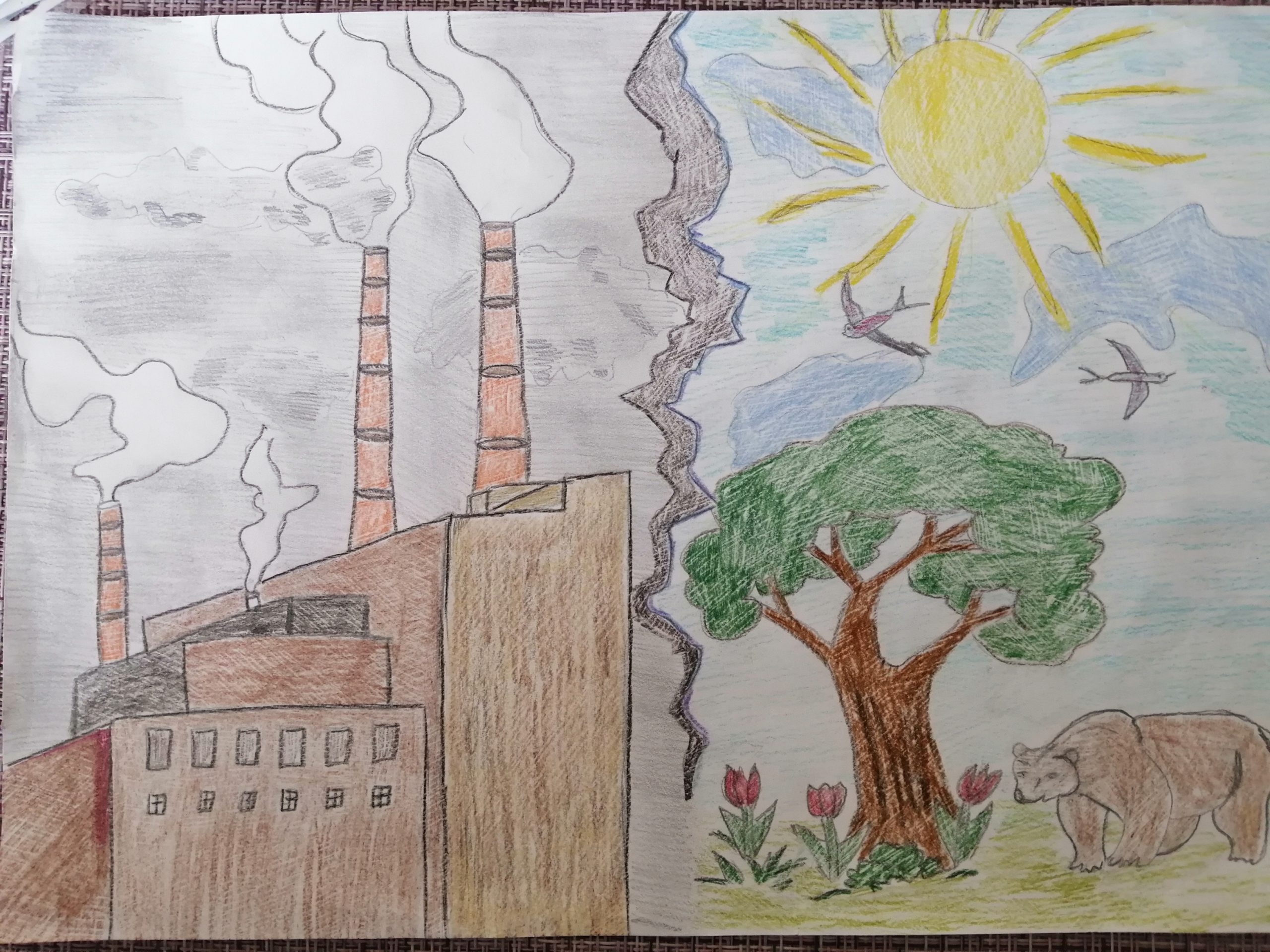 Рисунок год экология. Экология рисунок. Рисунок на экологическую тему. Экология рисунок для детей. Конкурс рисунков экология.