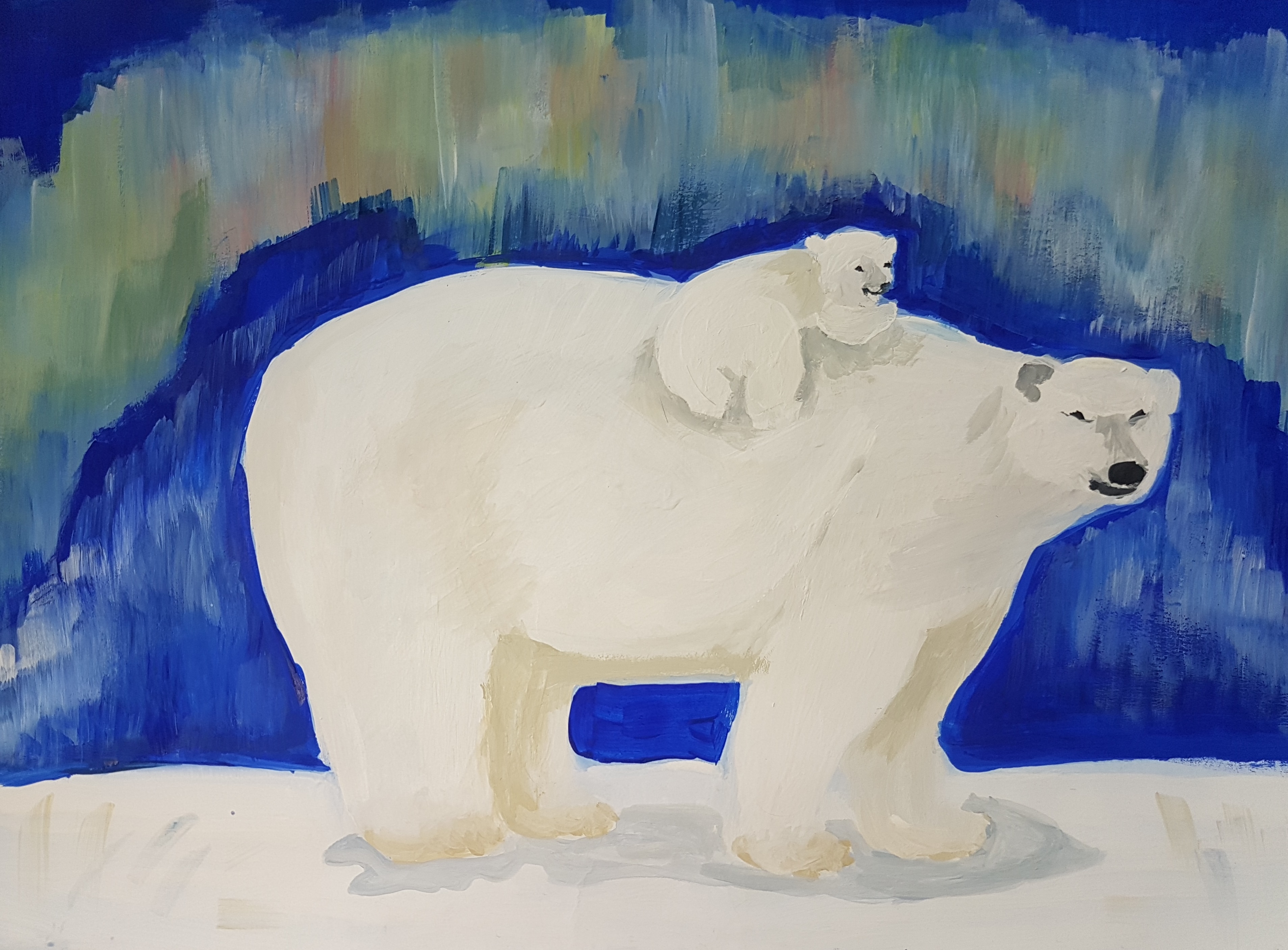 белый медведь фото картинки рисунки