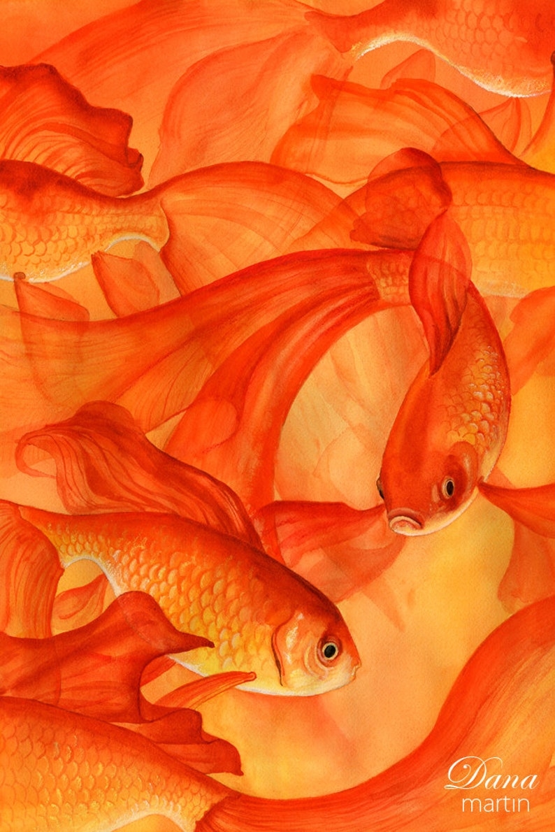 Рыбка золотого цвета. Оранжевая рыбка. Золотая рыбка. Рыбки оранжевого цвета. Картины в оранжевых тонах.