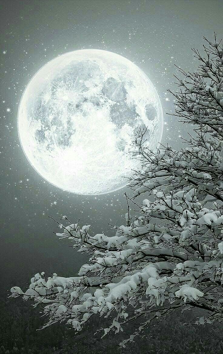 Зима Луна
