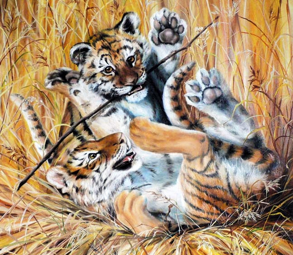 Картина животный мир. Картины животных. Рисунки с животными. Семья тигров. Картины с изображением животных.