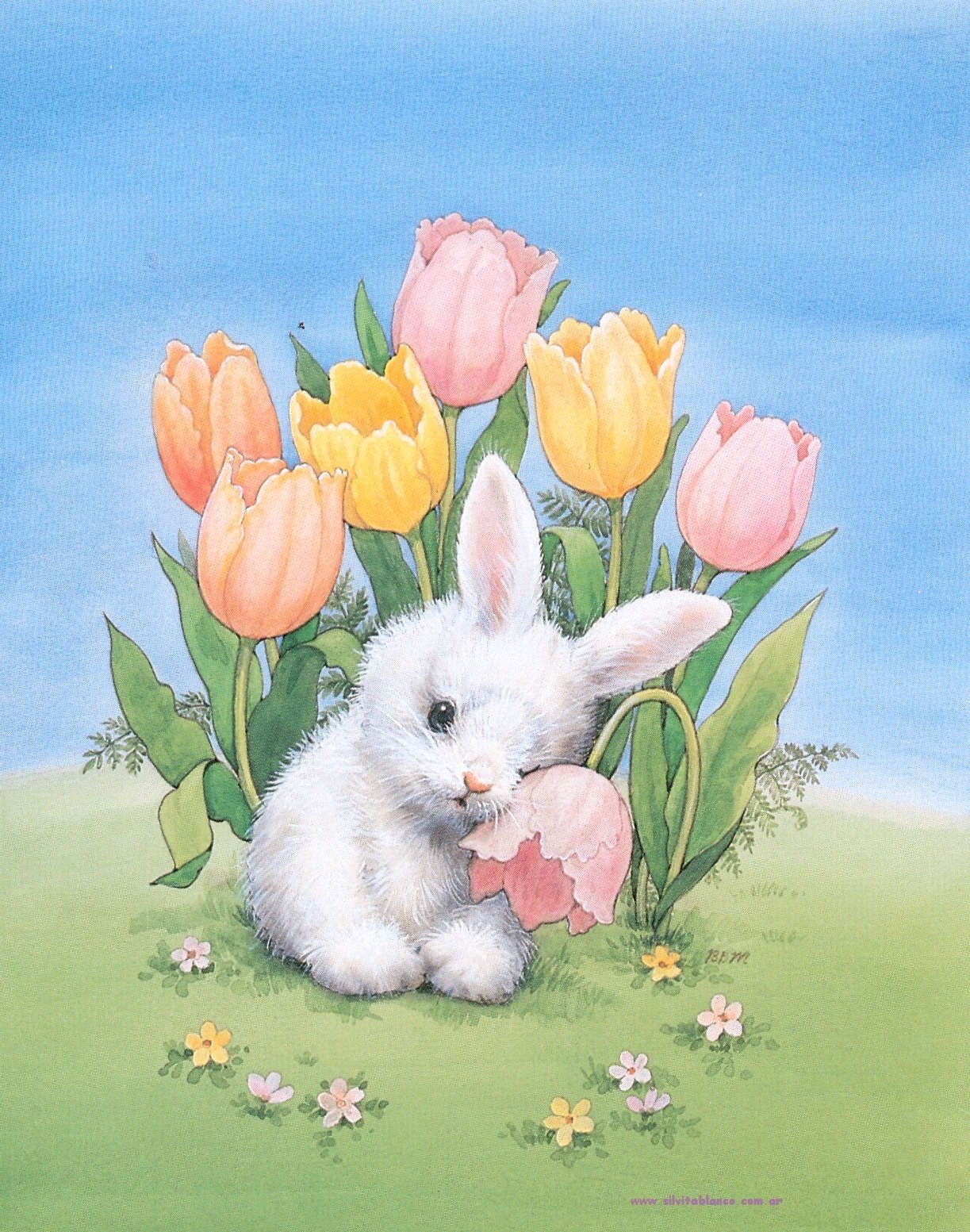Поздравление зайца с днем рождения. Зайчик с цветами. Зайчик с цветком. Открытка с зайчиком. Зайчик с цветочком.