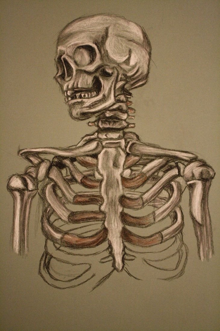 Нарисованный скелет человека