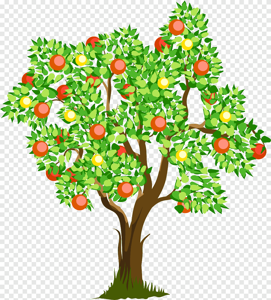 Дерево с яблоками рисунок - 75 фото