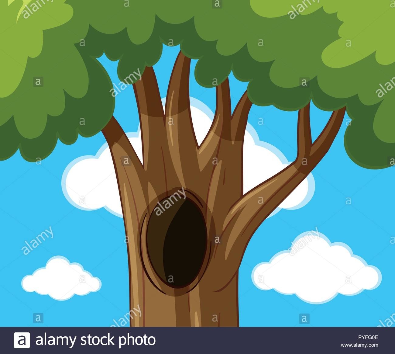 Интерпретация рисунка «Мое дерево»