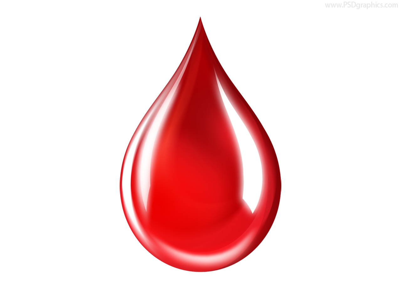 Кровь при дефекации - причины, симптоматика, методы лечения