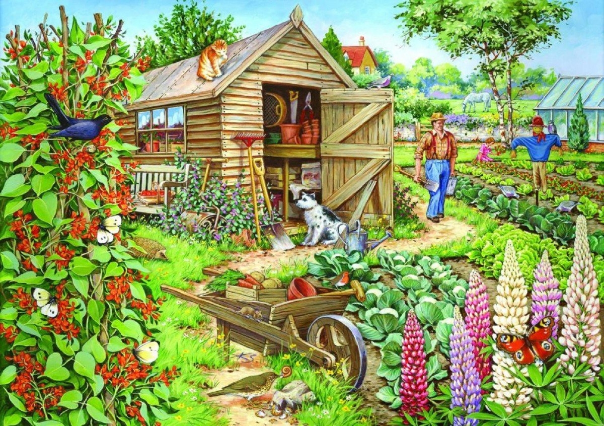 Про дачу. Домик в деревне с огородом. Сад огород иллюстрации. Сказочный огород с домиком. Огород рисунок.