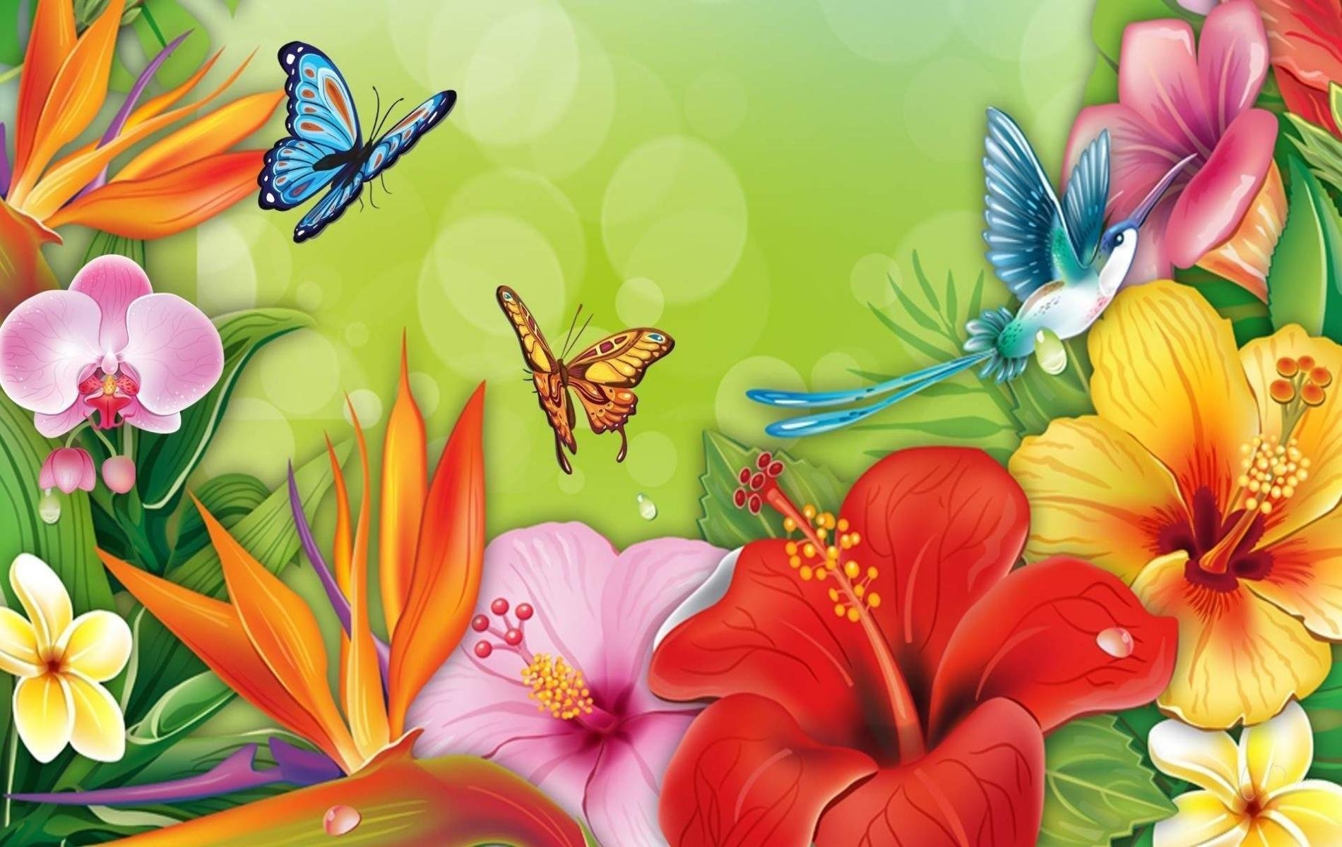 Яркие красивые открытки. Сказочные цветы. Фон бабочки. Бабочка на цветке. Яркие цветы и бабочки.