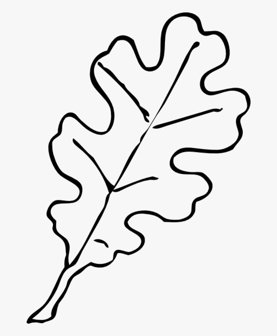 Черно белые картинки листьев. Лист дуба раскраска. Лист дуба трафарет. Трафарет листьев. Лист дуба рисунок.