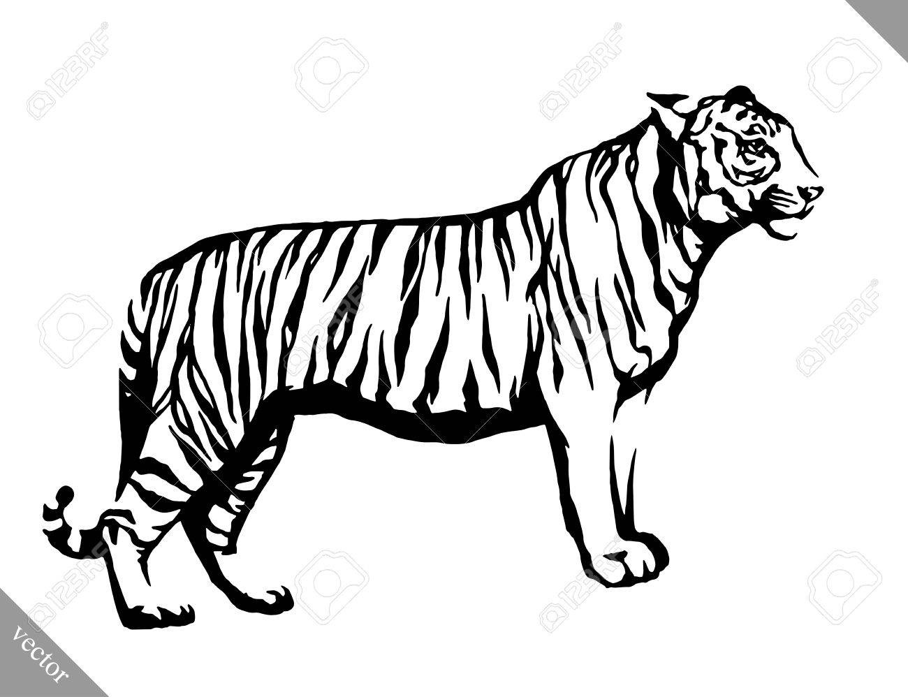 Как нарисовать тигра каранда�шом поэтапно
